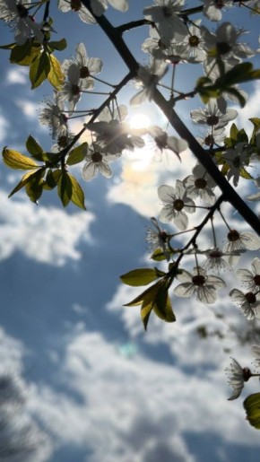 ��������� ������������ 18 ������ � ��� �� ���� 4 �������� ����� �� 22 �������� ����� ����, ������� ������� ��������� �����