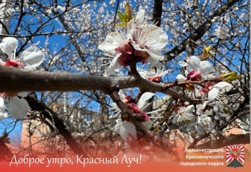 ������ ����, ������������!