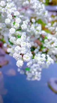 � ������ �����, ������ �������������� ������!