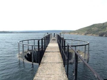 ������������� ������������ � ������������ ������������ ������������ ����� �������