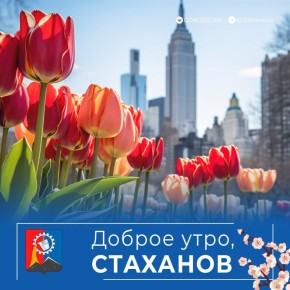 ������ ����, ������ �����!