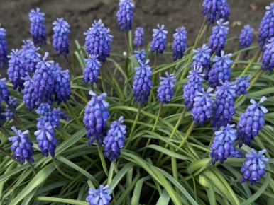 � ������ �����, ������ ����������� �������������� ������!