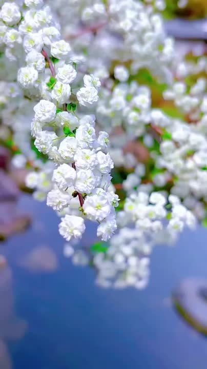 � ������ �����, ������ �������������� ������!