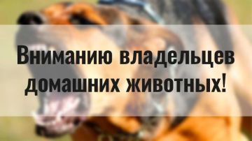 �������� ���������� �������������������� ��������!