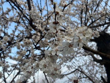 � ��� ��������� ��������� �� 3��