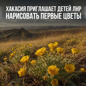 � 17 ������ ��� ����� ������������� �������������� �������� �������� ������������