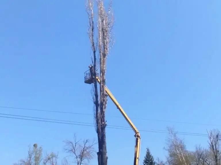 Сергей Колягин: Накануне в сквере по улице Белинского в городе Горское царила оживленная атмосфера Сергей Колягин: Накануне в сквере по улице Белинского в городе Горское царила оживленная атмосфера