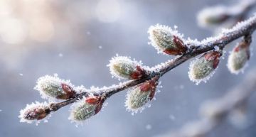 ��������� �� ����� ���� �������� ��������� � ��� ����� � ����� 20 � 21 ������