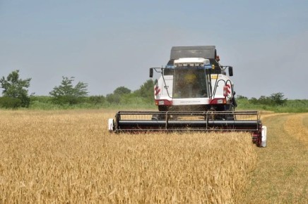 ���������� ������ ����������� ��������������������� ��������� ��� ������ �������������������� ������� � ������������, ����������� � �������, ���������� �� ��������� �� ������������������� �������� ����������� ��