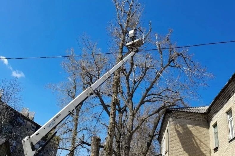 В Червонопартизанске коммунальщики обрезали аварийные деревья на улице Октябрьская В Червонопартизанске коммунальщики обрезали аварийные деревья на улице Октябрьская