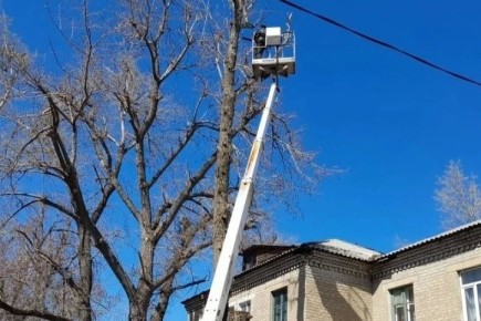 � ������������������ ������������� �������� ��������� ������� �� ����� �����������