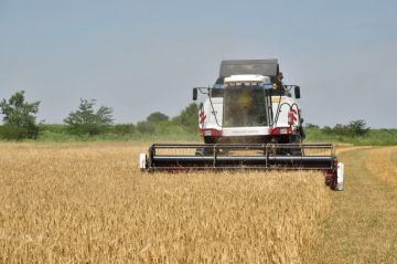 ���������� ������ ����������� ��������������������� ��������� ��� ������ �������������������� ������� � ������������, ����������� � �������, ���������� �� ��������� �� ������������������� �������� ����������� ��