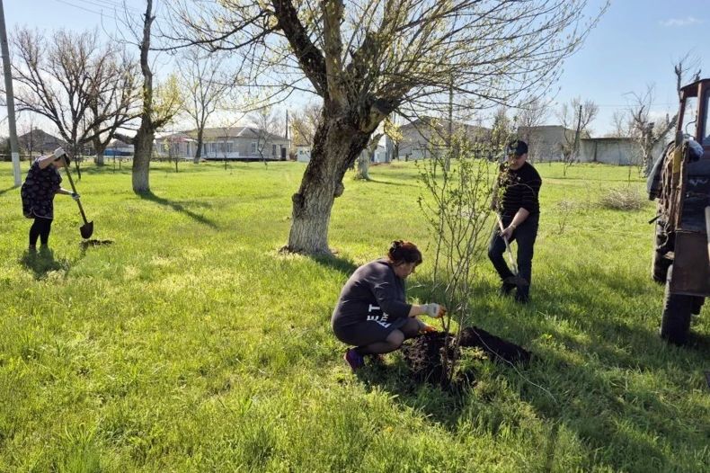 Каждый саженец – это символ связи поколений, напоминание о беспримерном подвиге героев ВОВ Каждый саженец – это символ связи поколений, напоминание о беспримерном подвиге героев ВОВ