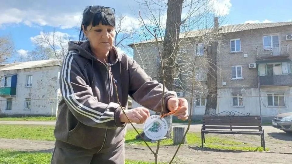 Антрацитовские единороссы присоединились к акции «Сад Памяти» Антрацитовские единороссы присоединились к акции «Сад Памяти»