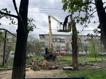 ������ ��������: � ��������� ������ ������ ������ �� �������� � ������� ��������� ������ ����������