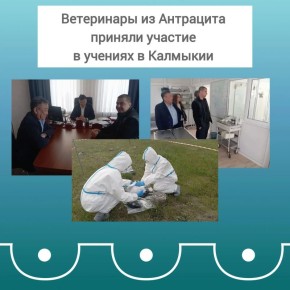 ���������� �� ��������������� �������������� ������ ������� ������� � ���������� ��������������� ��������-������� �������, ����������� � ���������� ��������