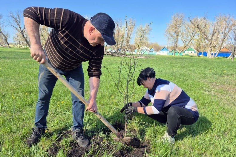 Каждый саженец – это символ связи поколений, напоминание о беспримерном подвиге героев ВОВ Каждый саженец – это символ связи поколений, напоминание о беспримерном подвиге героев ВОВ
