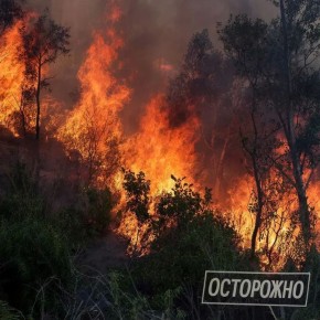 �� �������� ����� ����� � �����!