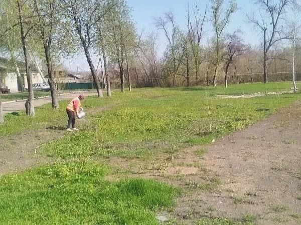 Сергей Колягин: Накануне в сквере по улице Белинского в городе Горское царила оживленная атмосфера Сергей Колягин: Накануне в сквере по улице Белинского в городе Горское царила оживленная атмосфера