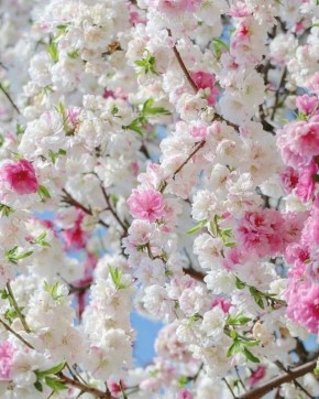 � ������ �����, ������������� �����!