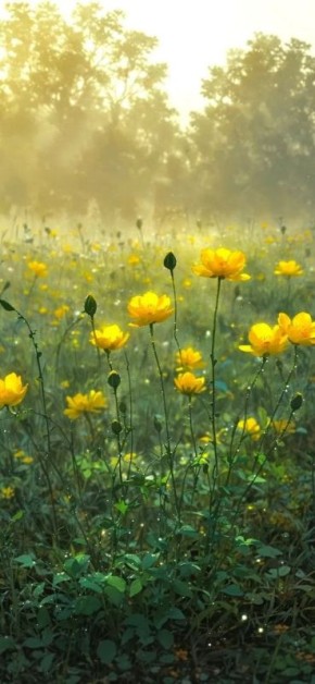 � ������ �����, ������� ������ �������������� �������������� ������!