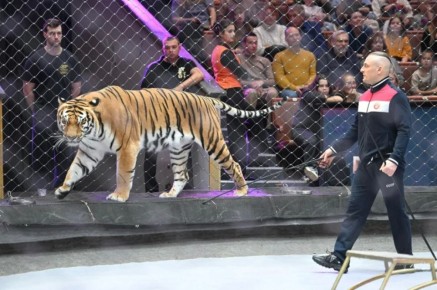 ���������� ���� ���� � �������� ������ ����������������� ���������� ��-�� ��������