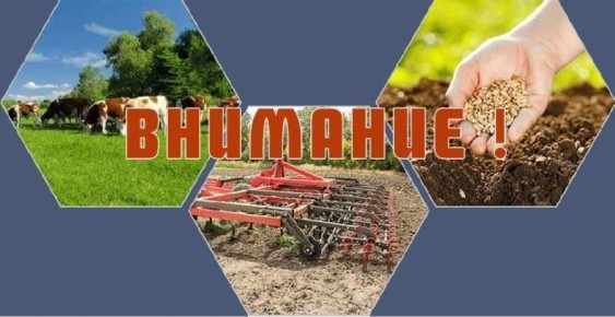 �������� �������������������� ��������������������