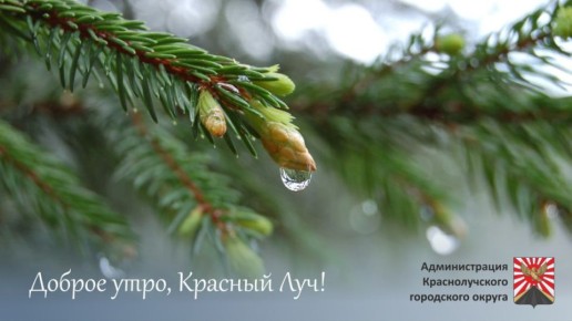 ������ ����, ������������ � ����� ������!