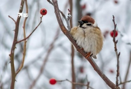 ������� � ��� ������� � ����������