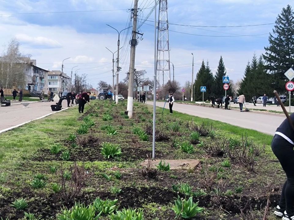 В Троицком муниципальном округе состоялся общемуниципальный субботник