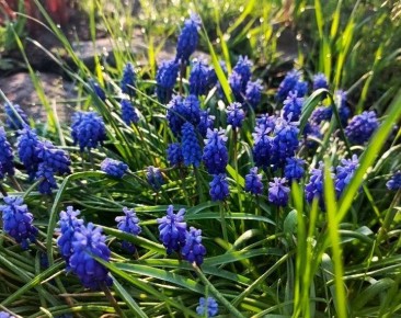 ������ ����, �������!. ����� ����������� ���� ������� ����� �����������, �������� ������� � ��������� �������