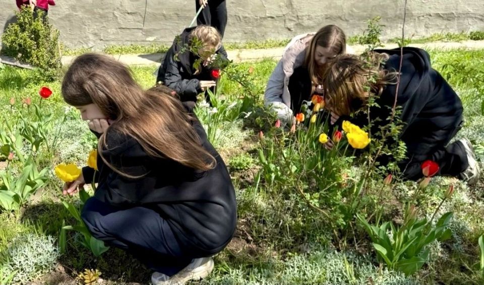 В Лутугинской средней школе №2 состоялась экологическая акция «Зелёная весна» В Лутугинской средней школе №2 состоялась экологическая акция «Зелёная весна»