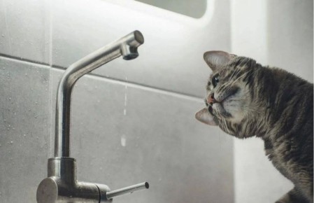 � ��������� �������� ���������� 23 ������ � 8:00 ����� �������� ���������� ������ ���� � ���� ��������� �������