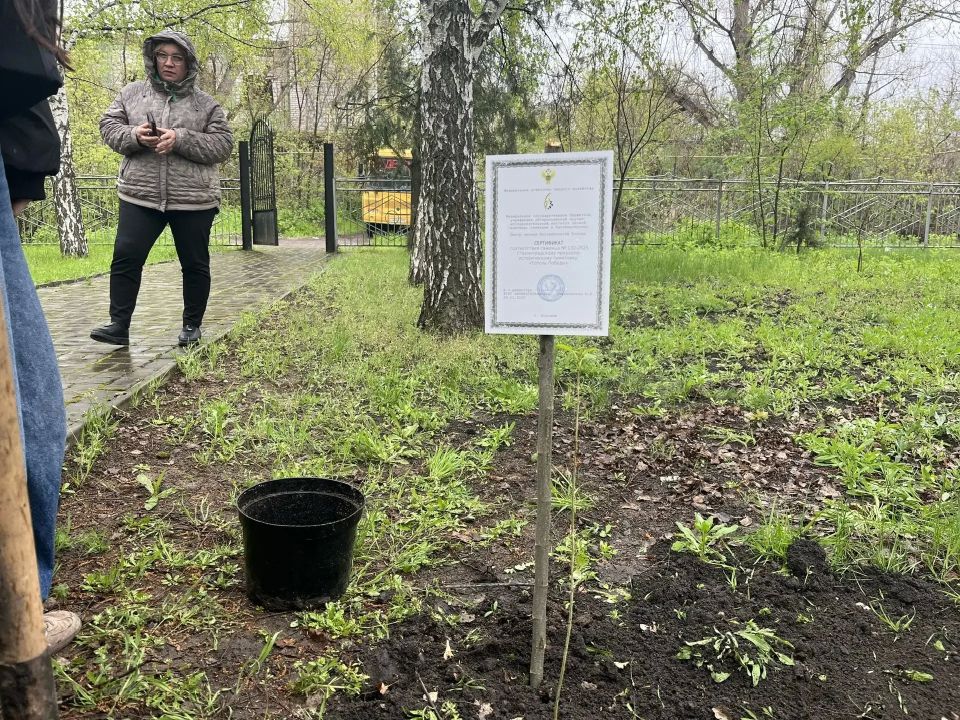 Участники второго республиканского слета школьных лесничеств высадили клонированный саженец легендарного Сталинградского «Тополя Победы» Участники второго республиканского слета школьных лесничеств высадили клонированный саженец легендарного Сталинградского «Тополя Победы»