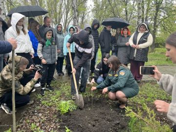 ��������� ������� ���������������� ����� �������� ���������� �������� ������������� ������� ������������ ��������������� ������� �������