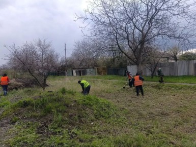 ������ ��������: ������������� ������������� �������� ������� ������� � ��� ������������