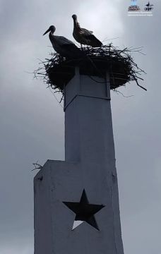 ������ ����!. 22 ������, �����: ����: +4�+5�, ��������� ����� , ����� 5�7 �/�