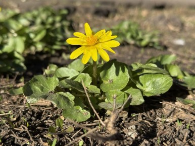 � ������ �����, ������ ����������� �������������� ������!