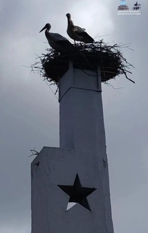 ������ ����!. 22 ������, �����: ����: +4�+5�, ��������� ����� , ����� 5�7 �/�