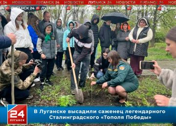 � �������� �������� ������������� ������� ������������ ��������������� ������� �������