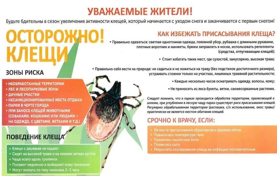 Территориальный отдел Управления Федеральной службы по надзору в сфере защиты прав потребителей и благополучия человека по Луганской Народной Республике в городах Алчевск, Красный Луч, Антрацит и Перевальском районе... Территориальный отдел Управления Федеральной службы по надзору в сфере защиты прав потребителей и благополучия человека по Луганской Народной Республике в городах Алчевск, Красный Луч, Антрацит и Перевальском районе...