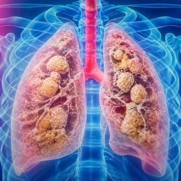 ���� ����������� ����� � ����������� ������ ������������� ������������