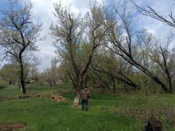 � ������ ������� ����� � �� ������� ��� ��������� ��������� ��������