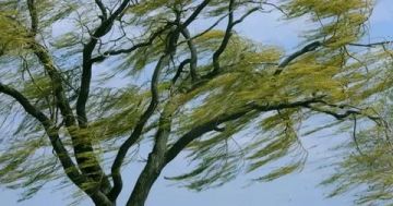 �������� ��������� ������ �������� � ���������������� ��������!