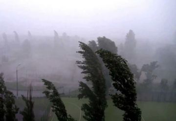 ���������� �������������� �� ��� �� ��� �� 23-24 ������