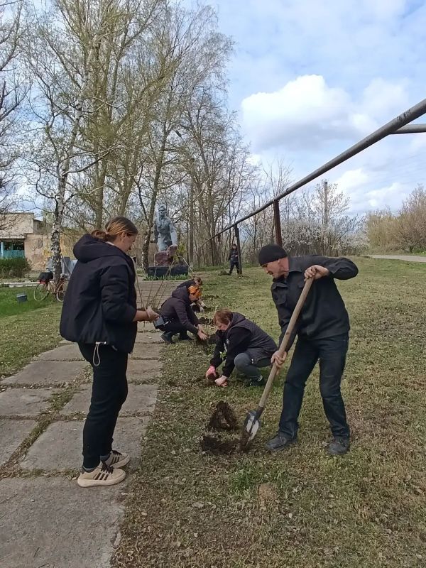 В селе Алексеевка Белокуракинского муниципального округа присоединились к акции "Сад памяти" В селе Алексеевка Белокуракинского муниципального округа присоединились к акции "Сад памяти"