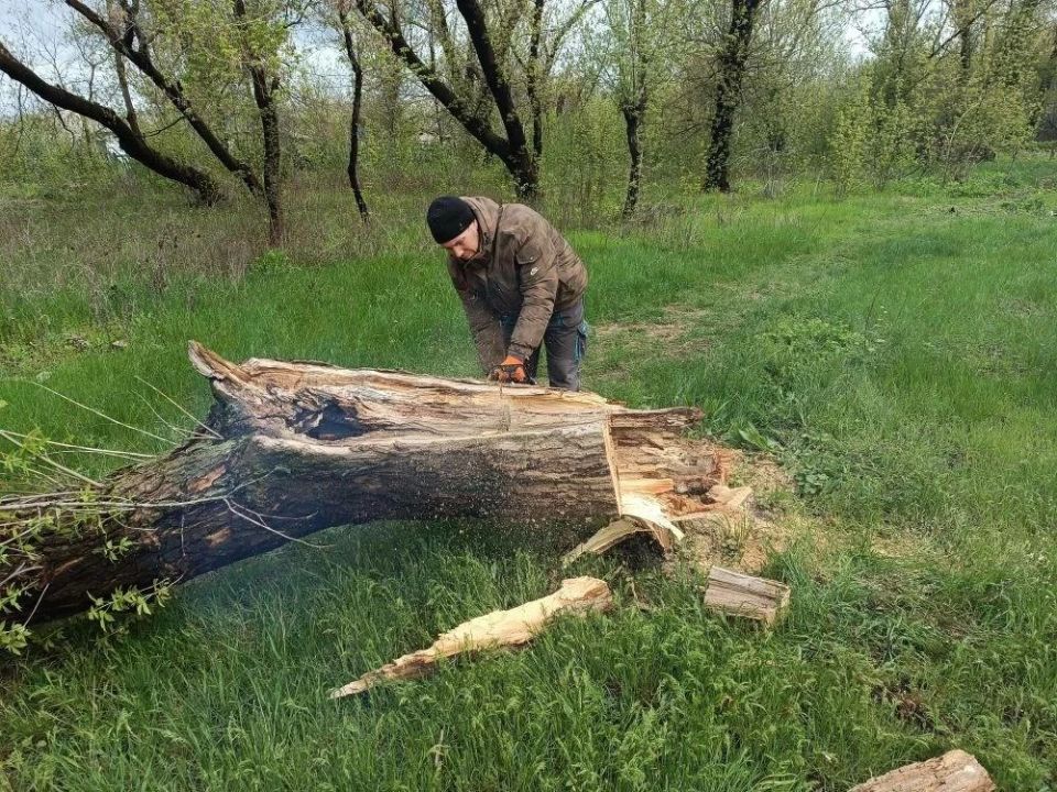 В посёлке Юрьевка рядом с ДК спилили ещё несколько аварийных деревьев В посёлке Юрьевка рядом с ДК спилили ещё несколько аварийных деревьев