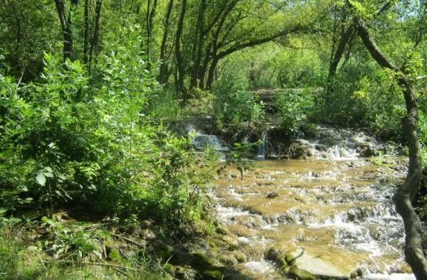 Виктор Водолацкий: В Луганской Народной Республики Красный Луч определен в качестве одного из приоритетных мест для развития туризма Виктор Водолацкий: В Луганской Народной Республики Красный Луч определен в качестве одного из приоритетных мест для развития туризма