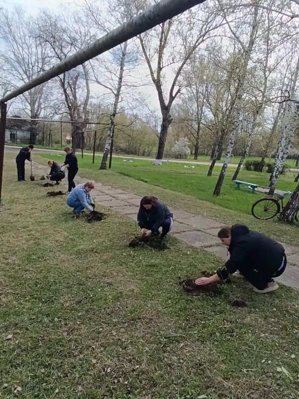 В селе Алексеевка Белокуракинского муниципального округа присоединились к акции "Сад памяти" В селе Алексеевка Белокуракинского муниципального округа присоединились к акции "Сад памяти"