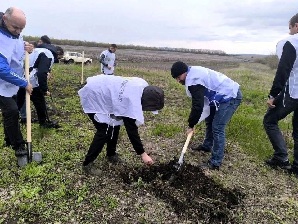 Память об их подвиге будет жить вечно: Белокуракино присоединилось к Международной акции «Сад памяти» Память об их подвиге будет жить вечно: Белокуракино присоединилось к Международной акции «Сад памяти»